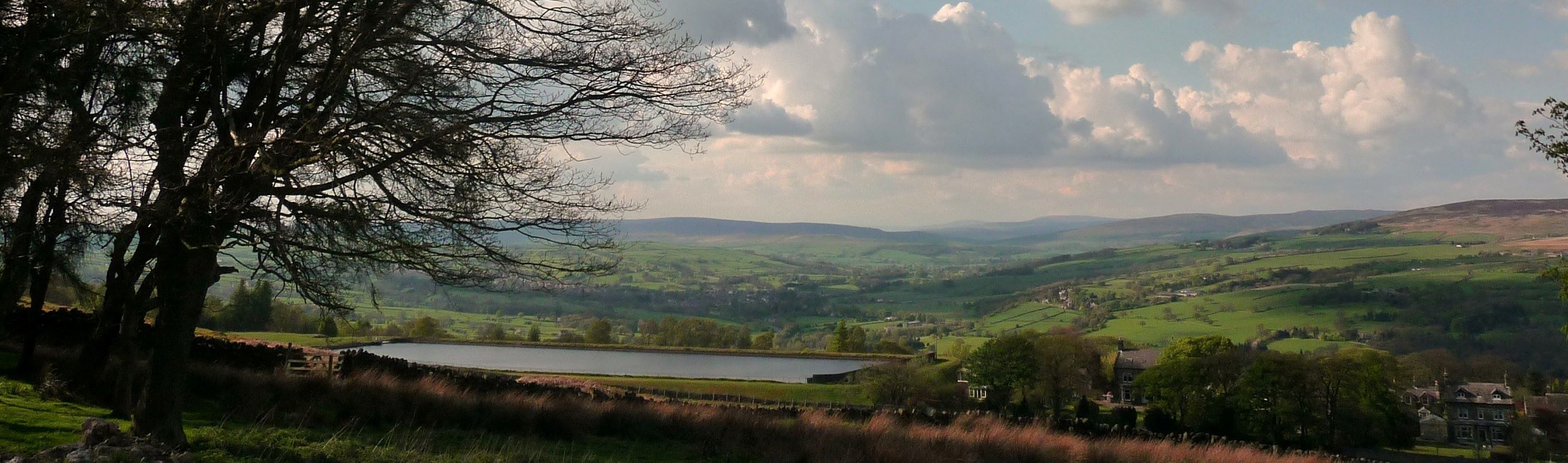 Panoramic view of rolling green hills with a reservior in the middle distance and the silhouette of trees in the foreground on the left